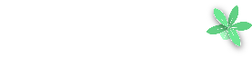 Logo Orquídeas